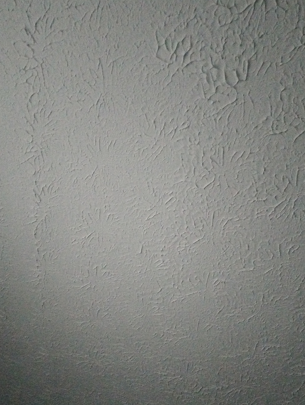 Sild - Picture 1 of 1